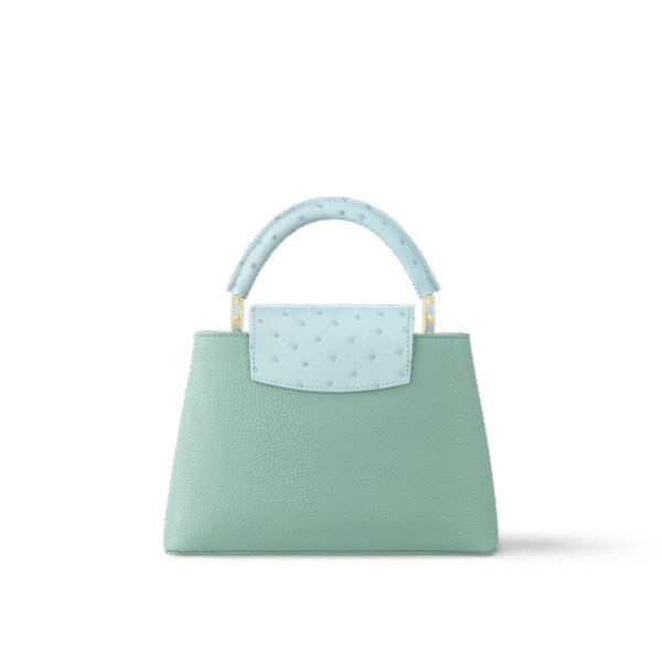 LOUIS VUITTON Capucines BB (Replica) Include box, dust bag