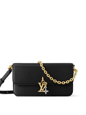 LOUIS VUITTON  Félicie Pochette  (Replica)  Include box, dust bag