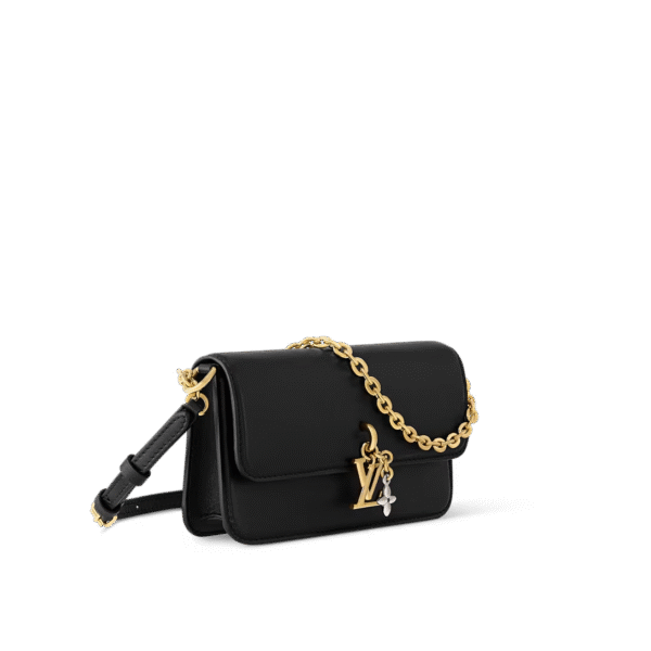 LOUIS VUITTON  Félicie Pochette  (Replica)  Include box, dust bag